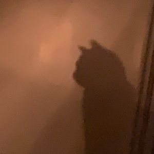 Meet your Posher, Romy